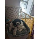 Image 4 of customer photos