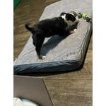 Image 2 of customer photos