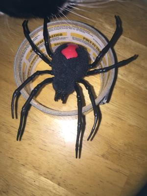 zuru robo alive crawling spider twin pack