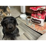 Image 6 of customer photos