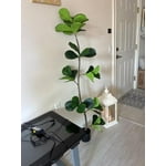 Image 1 of customer photos