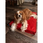 Image 6 of customer photos