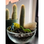 Image 7 of customer photos