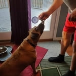 Image 3 of customer photos