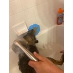 Image 4 of customer photos