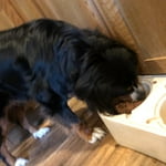 Image 3 of customer photos