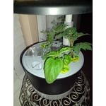 Image 9 of customer photos