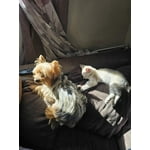 Imagen 8 de las fotos del cliente