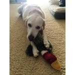 Image 7 of customer photos