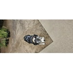 Image 2 of customer photos