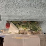 Image 5 of customer photos