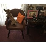 Image 6 of customer photos
