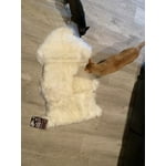 Image 7 of customer photos