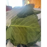 Image 7 of customer photos