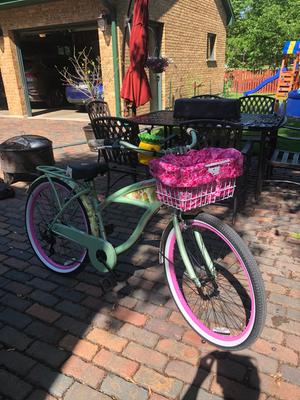 walmart pineapple bike
