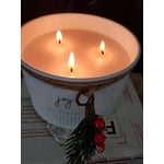 Image 5 of customer photos