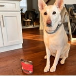 Image 7 of customer photos