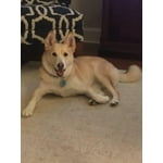 Image 7 of customer photos