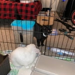 Image 4 of customer photos