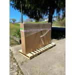 Image 5 of customer photos