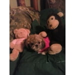 Image 5 of customer photos