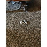 Image 2 of customer photos