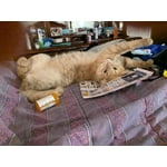 Image 2 of customer photos