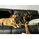 Image 6 of customer photos