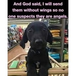 Image 7 of customer photos