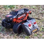 Image 3 of customer photos