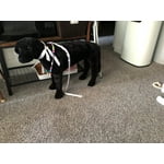 Image 4 of customer photos