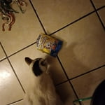 Image 4 of customer photos