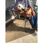 Image 1 of customer photos