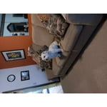 Image 1 of customer photos