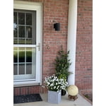 Image 6 of customer photos