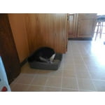 Image 3 of customer photos