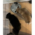 Image 6 of customer photos