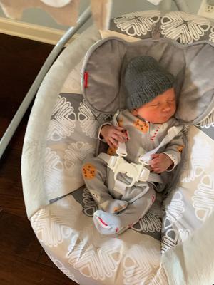 elephant baby swing walmart