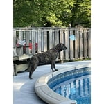 Image 7 of customer photos