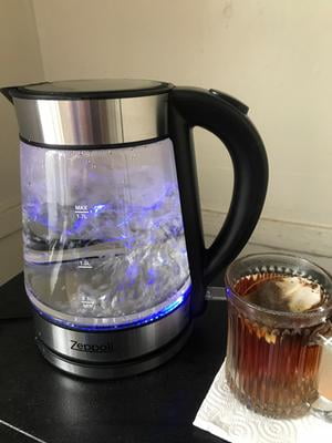  Zeppoli Electric Kettle - Stainless Steel Glass Tea