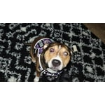 Image 2 of customer photos