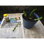 Image 5 of customer photos