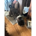 Image 4 of customer photos