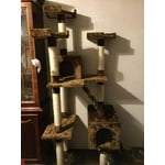 Image 3 of customer photos