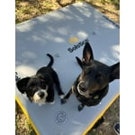 Image 2 of customer photos