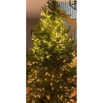 Image 7 of customer photos