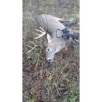 Image 2 of customer photos