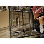 Image 2 of customer photos