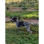 Image 6 of customer photos