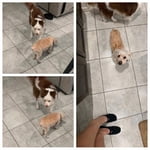 Image 1 of customer photos